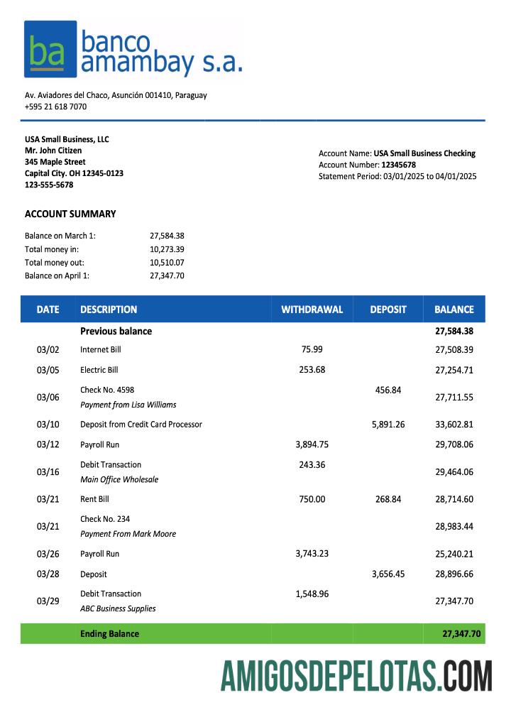 Realista Paraguai Banco Amambay Declaração da Organização Modelo Word e PDF